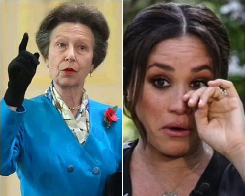 Hot news: Meghan Markle attempts to bribe Princess Anne to seize the throne, but the Princess leaves Meghan embarrassed in front of the world.